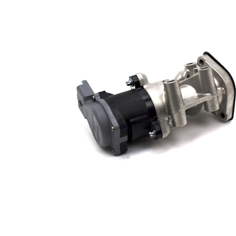 AGR-Ventil 700411