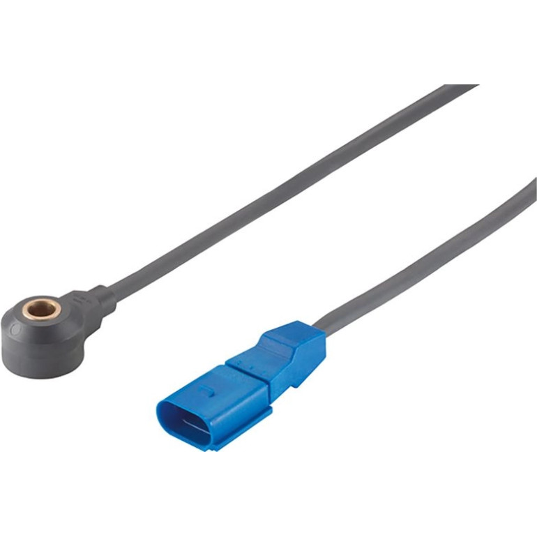 Klopfsensor S107583009Z