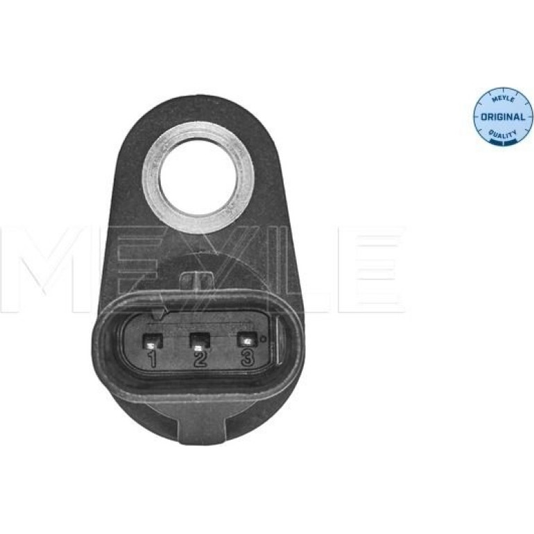 Sensor, Nockenwellenposition 100 810 0010
