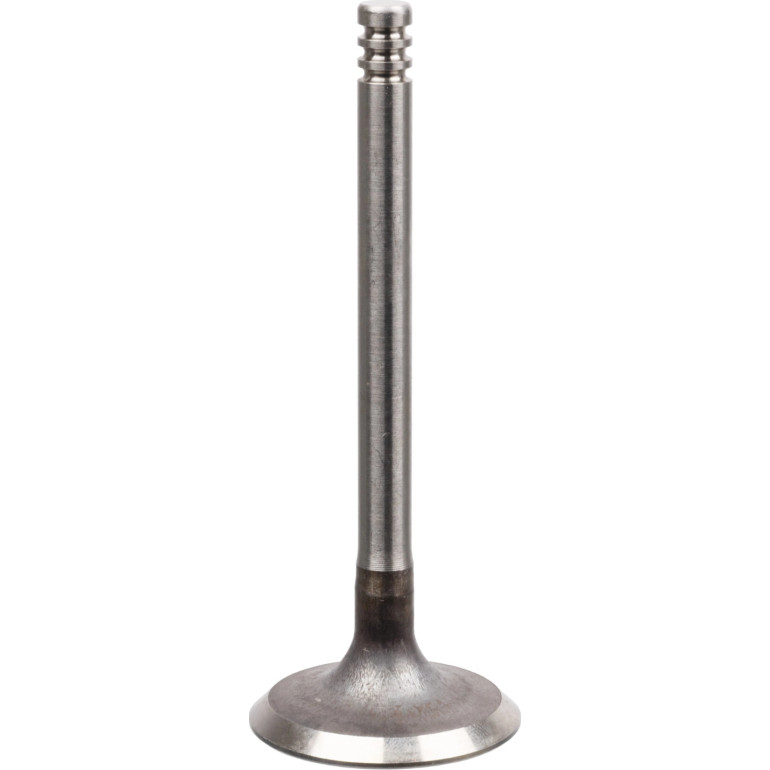FEBI BILSTEIN 21210 Einlassventil