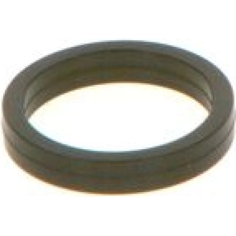 Dichtring F 00V C38 100 Dichtring F 00V C38 100