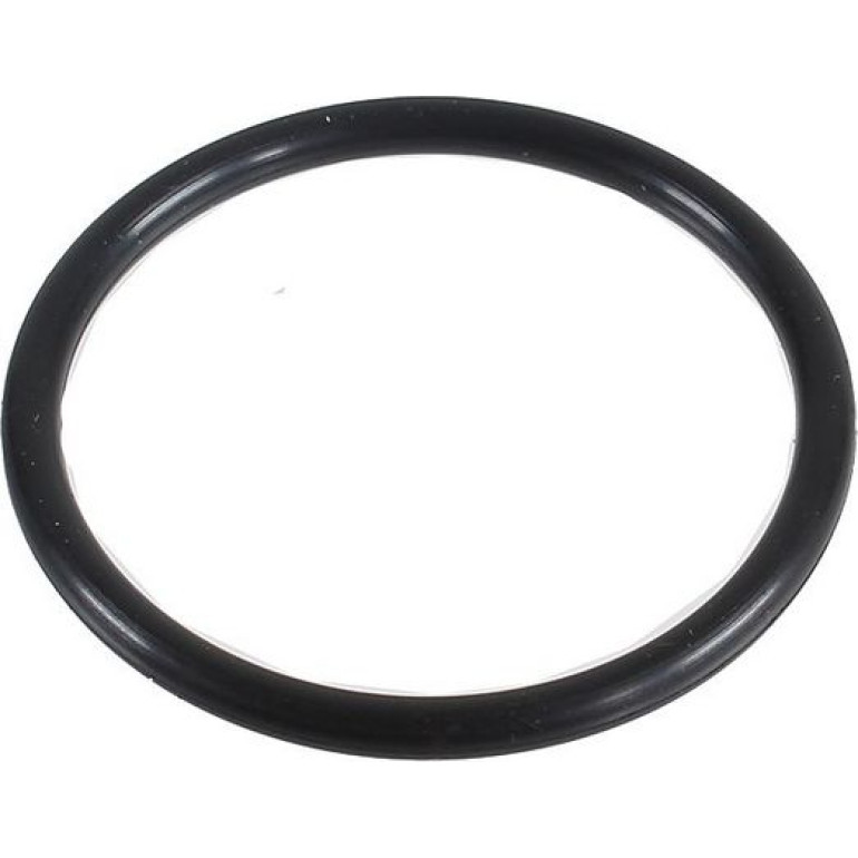 Dichtring 2430047 Dichtring 2430047