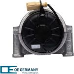 OE Germany | Lagerung, Motor | 800409