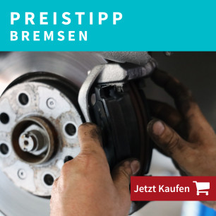 Bremsscheiben bei moto100 kaufen